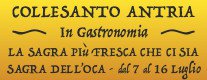Collesanto Antria in Gastronomia - Sagra dell' Oca 2017
