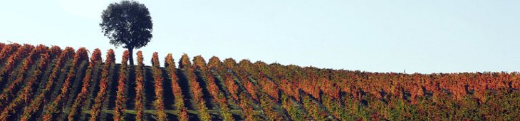 Banner Umbria Eventi