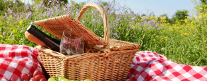Pic-nic dell'Angelo