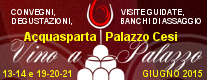 Vino a Palazzo