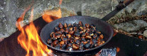 Castagnata e Antichi Sapori