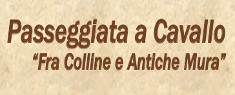 Passeggiata a Cavallo fra Colline e Antiche Mura