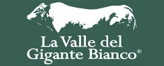 La Valle del Gigante Bianco