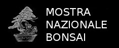 Mostra Nazionale Bonsai 