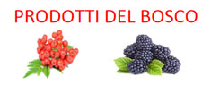 Prodotti del Bosco - Frutti Spontanei Commestibili e Velenosi