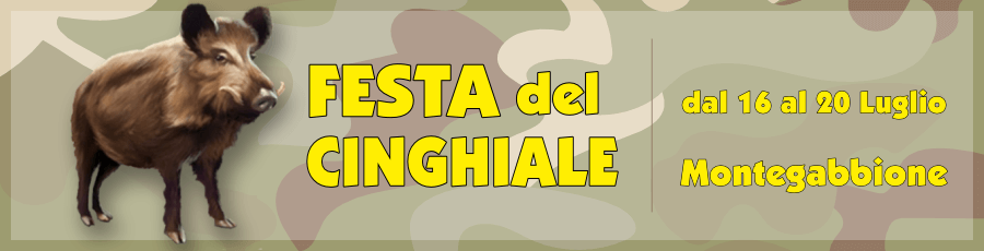 Festa del Cinghiale