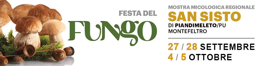 Festa del Fungo