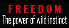 Teatro Lyrick - Freedom The power of Wild Instinct