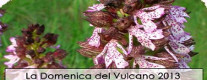 Attività al museo Vulcanologico