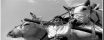 La Valnerina Com’era. Scegli le immagini più Belle