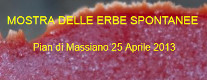XIII Mostra delle Erbe Spontanee