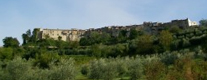 Eventi Penna in Teverina