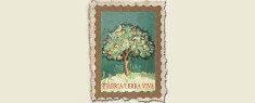 Umbria Terra Viva