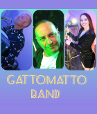 Serata danzante con Gattomatto