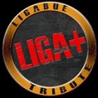 Serata Live con Liga+ Tribute Band