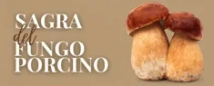 Sagra del Fungo Porcino
