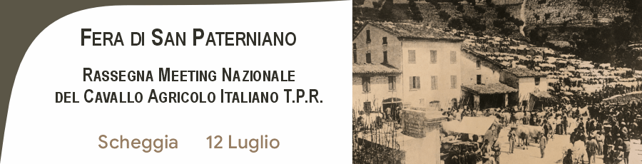 Fiera di San Paterniano