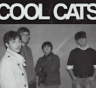 Cool Cats