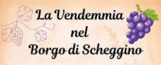 La Vendemmia nel Borgo di Scheggino