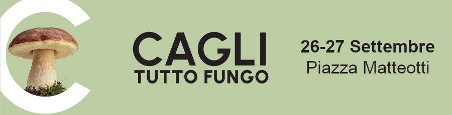 Cagli Tutto Fungo